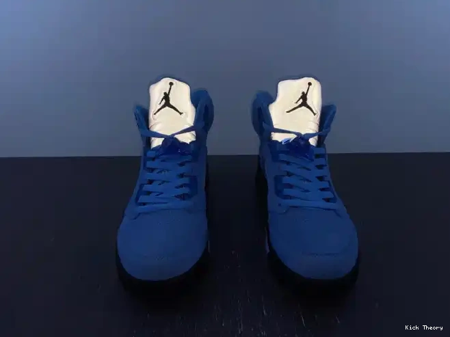 Kicktheory Air UNC 5 Jordan DV1310-401 0530